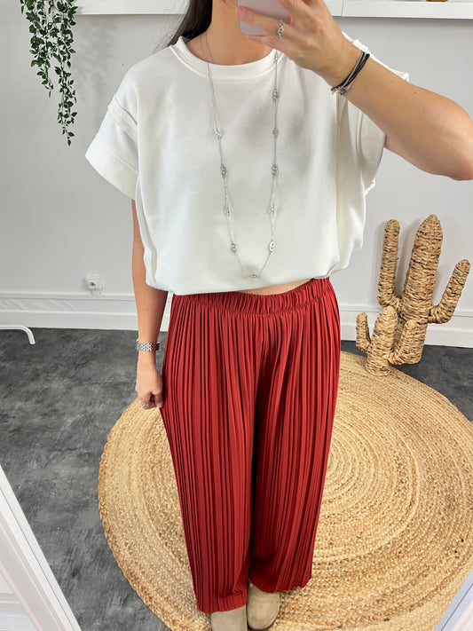 Pantalon Emie terra cotta